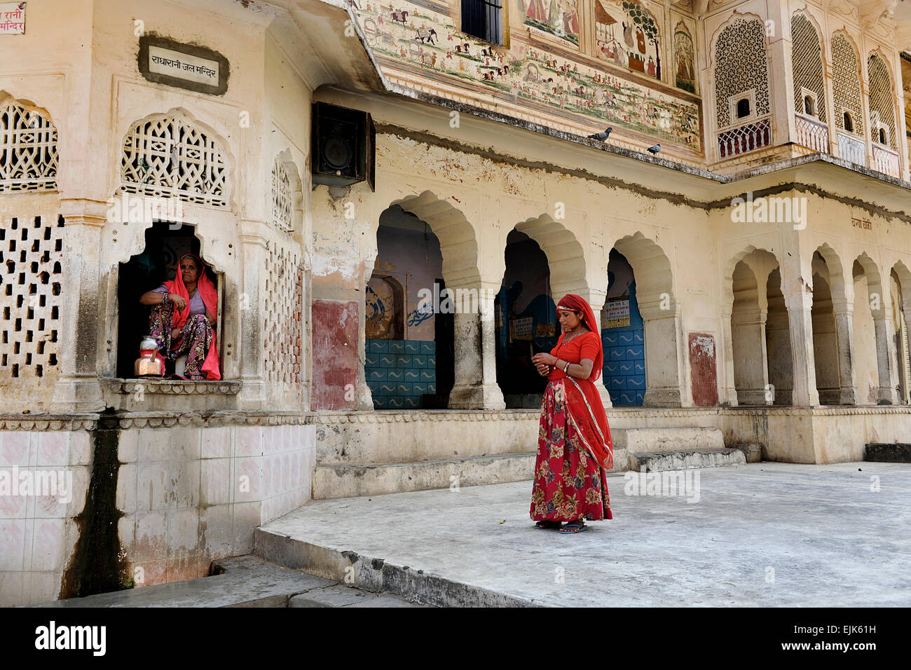 Affentempel (Galwar Bagh), Jaipur Indien Stockfoto