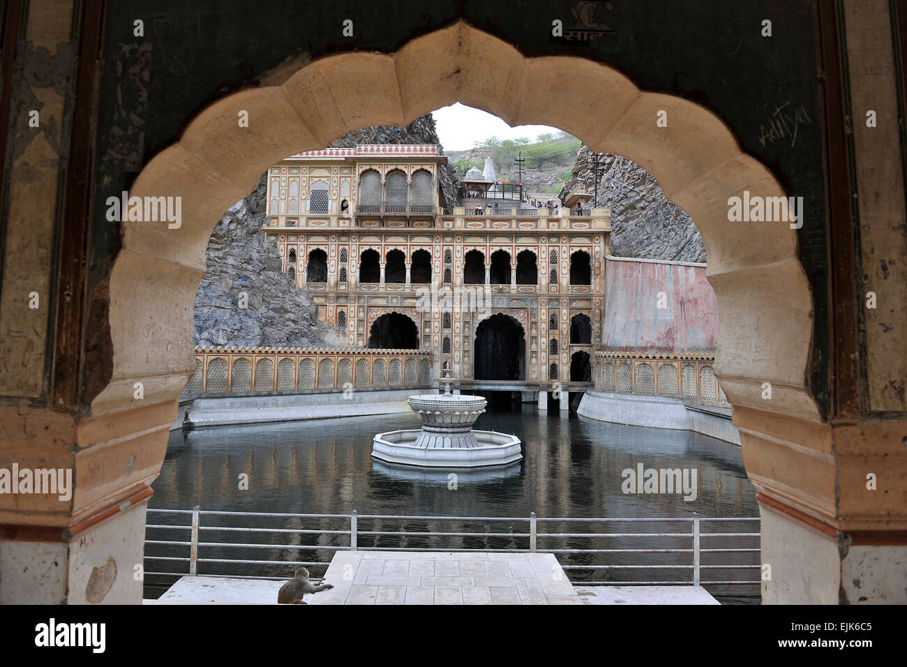 Affentempel (Galwar Bagh), Jaipur Indien Stockfoto