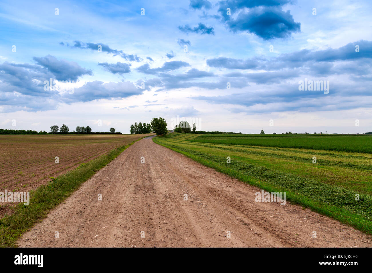 Sommerlandschaft mit grünem Rasen, Straße und Wolken in Ungarn Stockfoto