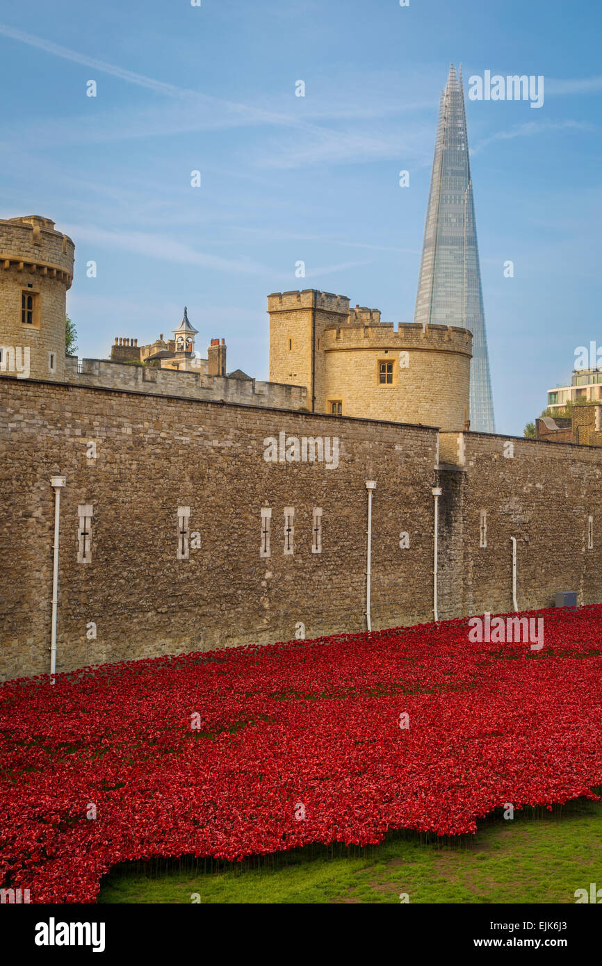 Tower of London, die Scherbe und einige der 888.000 roten Mohnblumen anlässlich 100 Jahre vom Beginn des ersten Weltkrieges, London, England Stockfoto