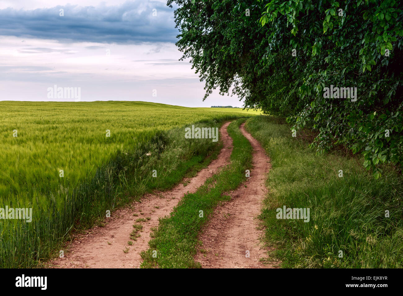 Sommerlandschaft mit grünem Rasen, Straße und Wolken in Ungarn Stockfoto