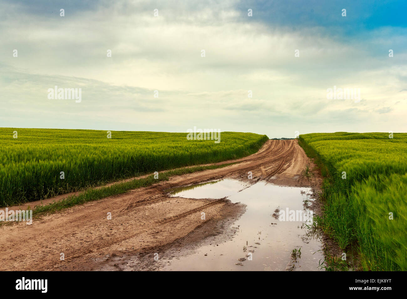 Sommerlandschaft mit grünem Rasen, Straße und Wolken in Ungarn Stockfoto