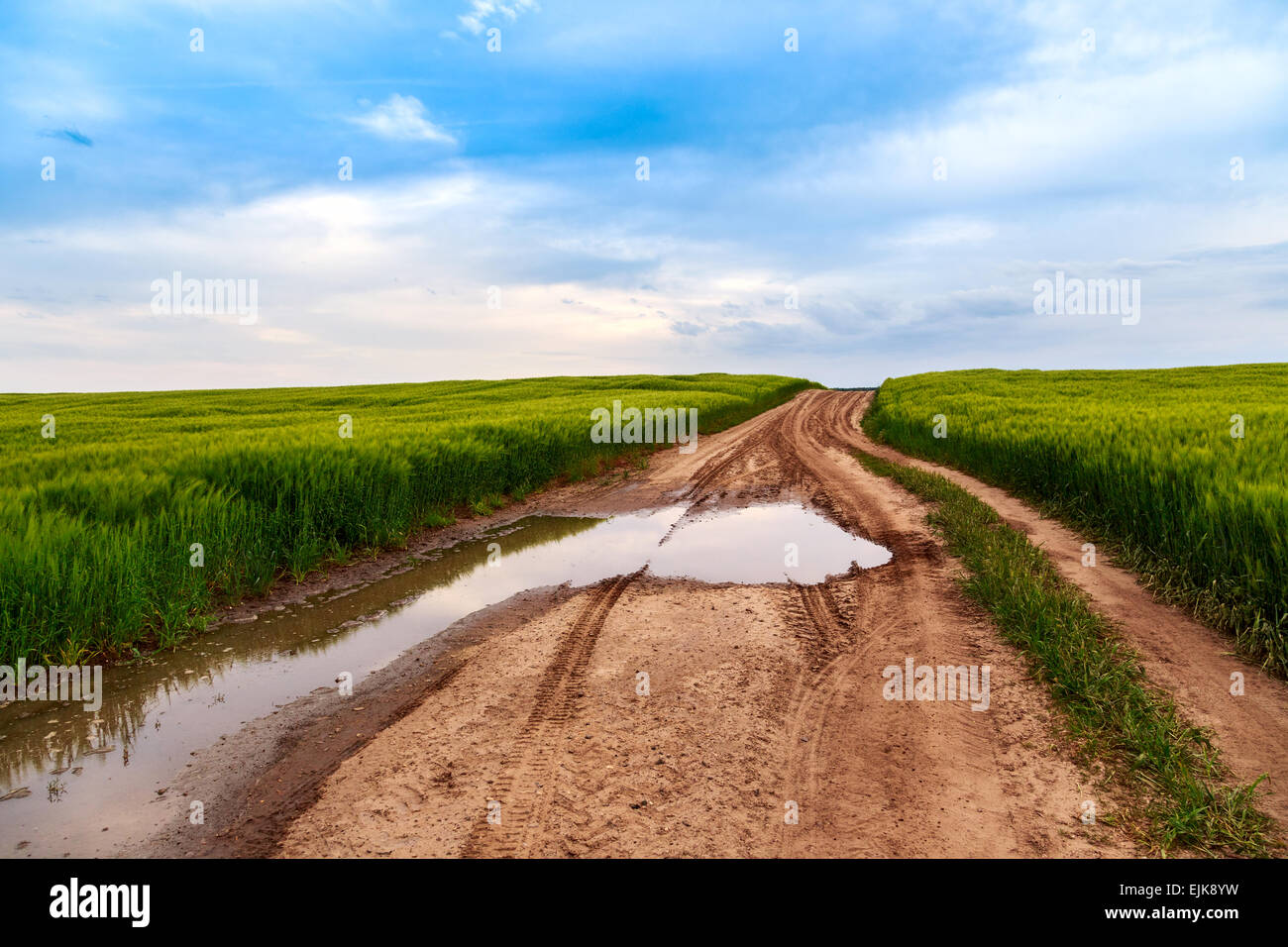 Sommerlandschaft mit grünem Rasen, Straße und Wolken in Ungarn Stockfoto