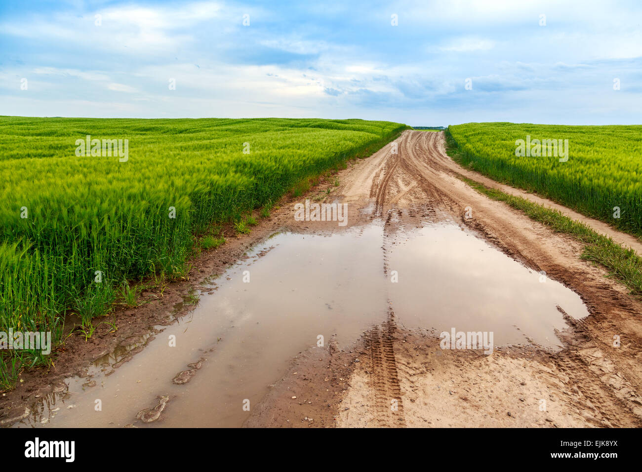 Sommerlandschaft mit grünem Rasen, Straße und Wolken in Ungarn Stockfoto