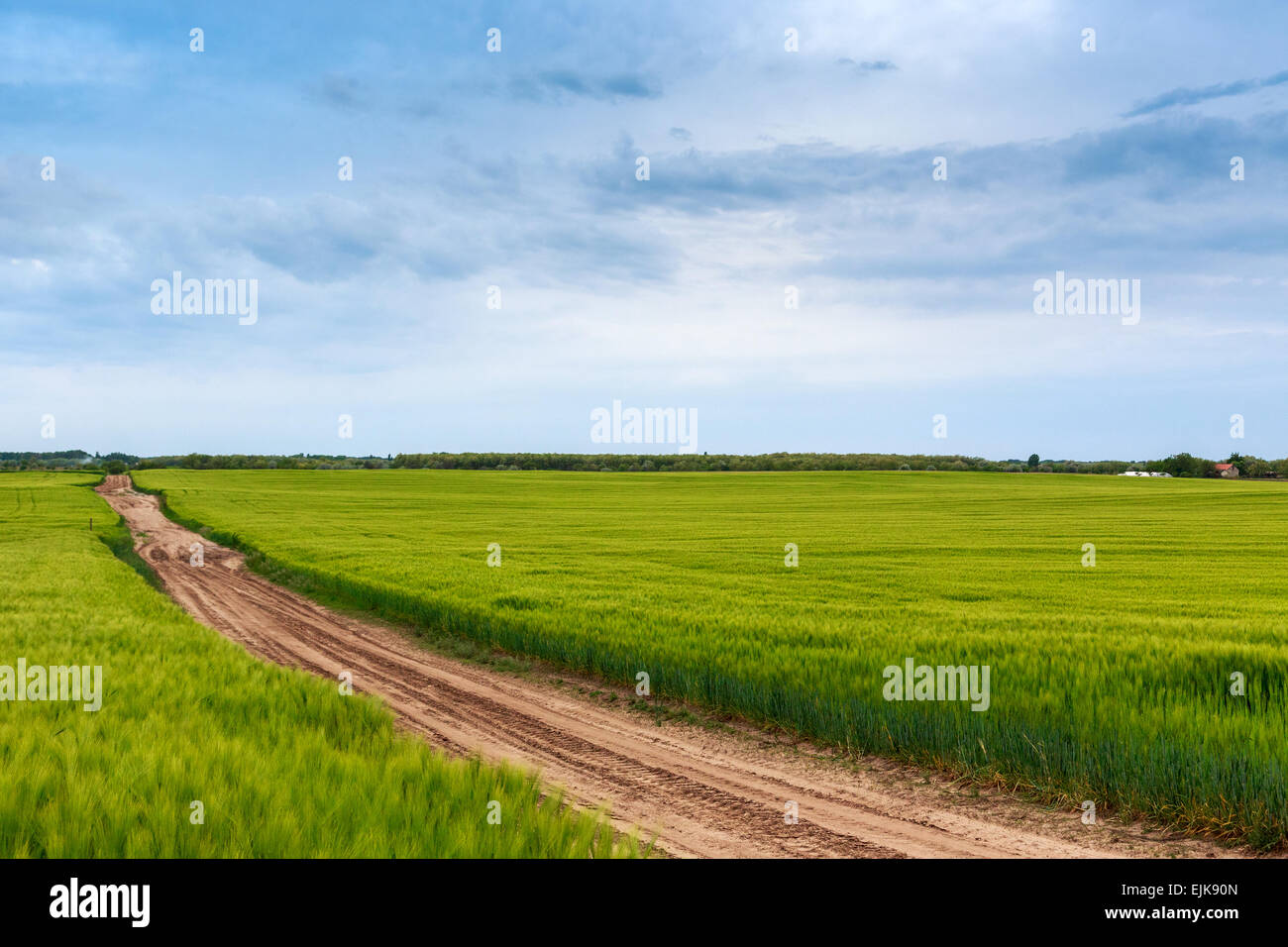 Sommerlandschaft mit grünem Rasen, Straße und Wolken in Ungarn Stockfoto