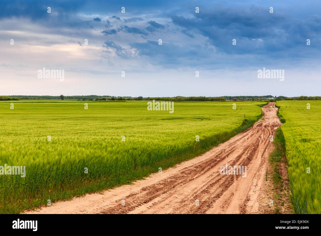 Sommerlandschaft mit grünem Rasen, Straße und Wolken in Ungarn Stockfoto