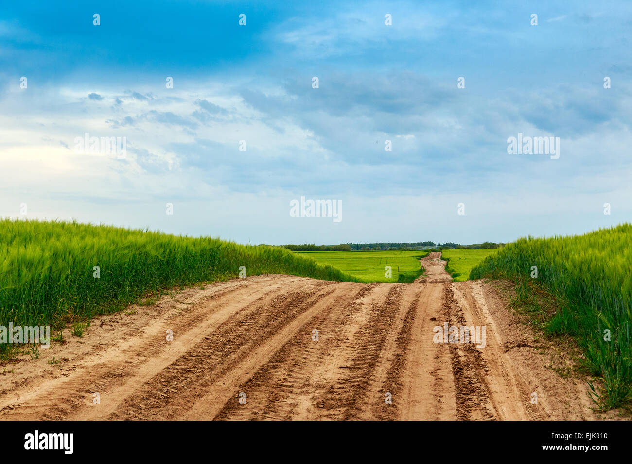 Sommerlandschaft mit grünem Rasen, Straße und Wolken in Ungarn Stockfoto