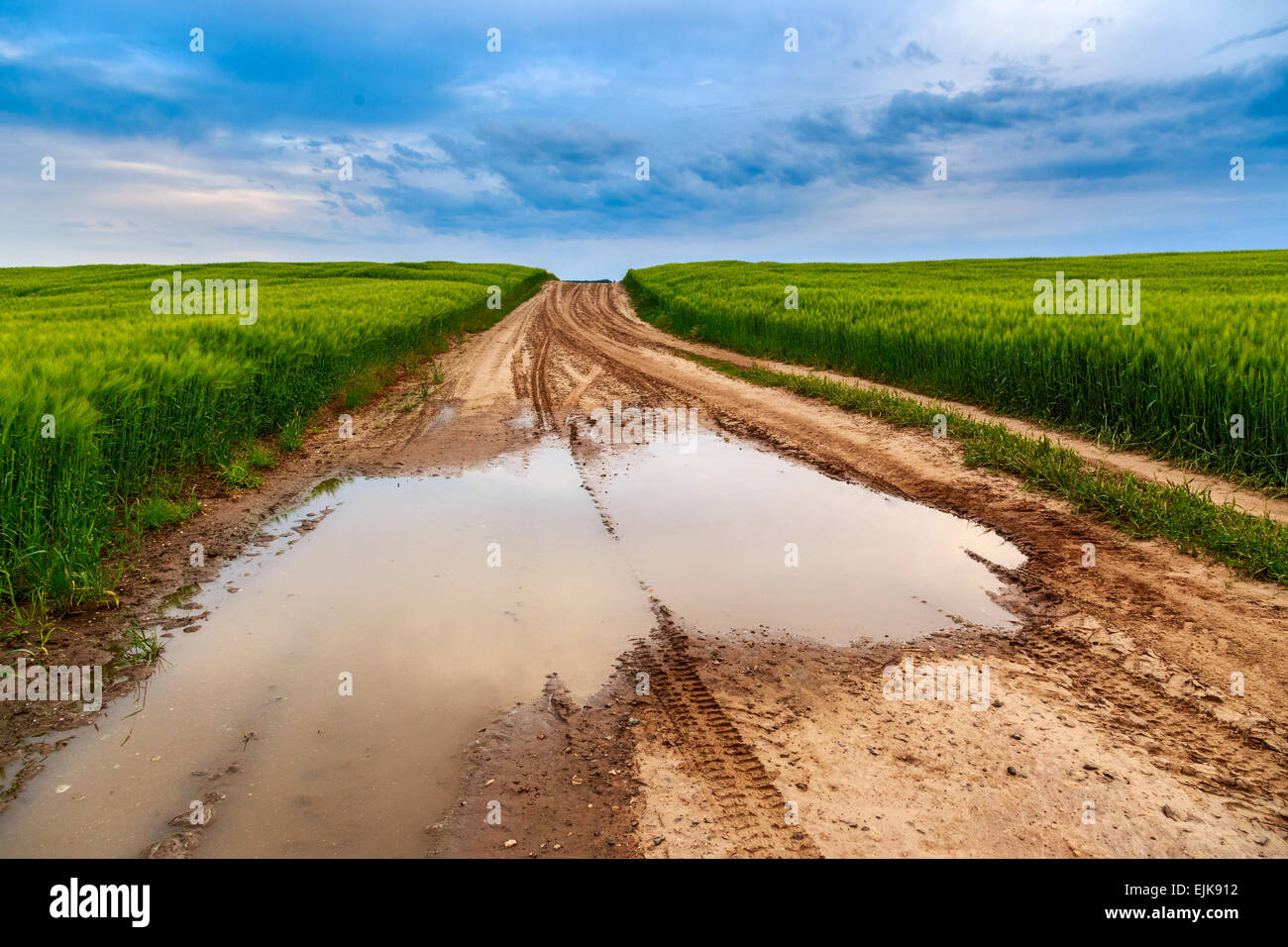 Sommerlandschaft mit grünem Rasen, Straße und Wolken in Ungarn Stockfoto