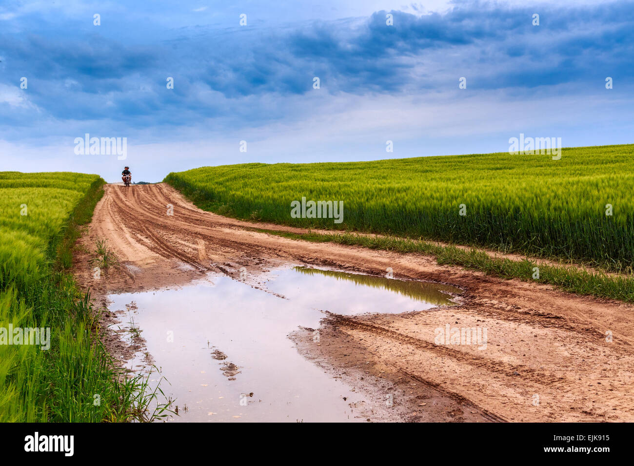 Sommerlandschaft mit grünem Rasen, Straße und Wolken in Ungarn Stockfoto