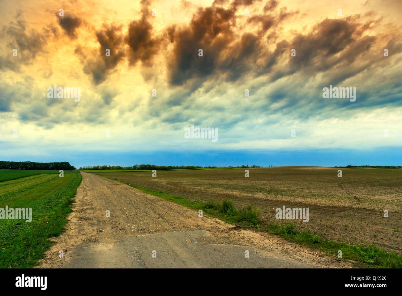 Sommerlandschaft mit grünem Rasen, Straße und Wolken in Ungarn Stockfoto