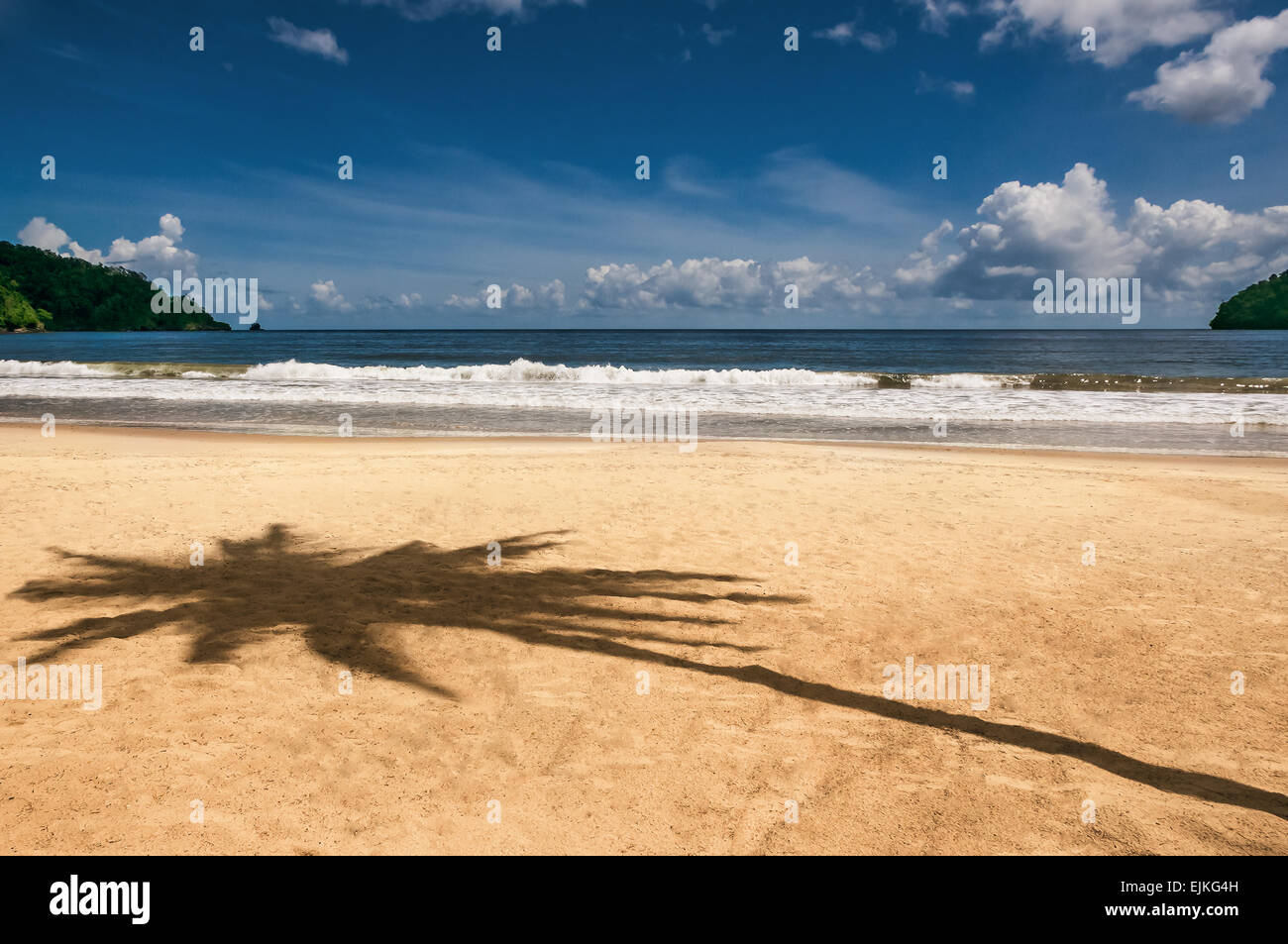 Maracas Bay Trinidad und Tobago Strand Palme Baum Schatten Caribbean Stockfoto