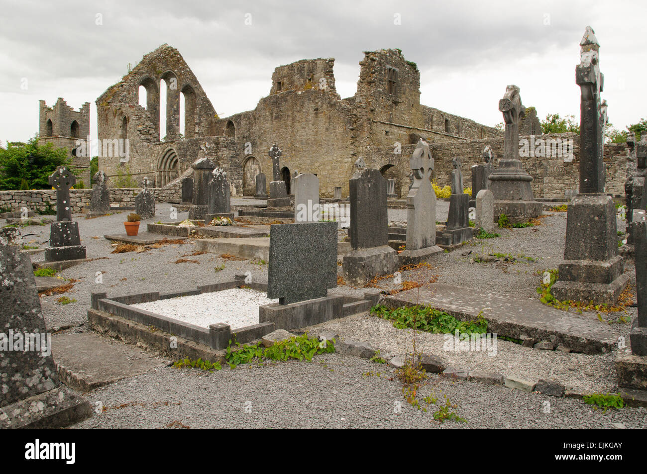 Cong Abbey, Irland Stockfoto