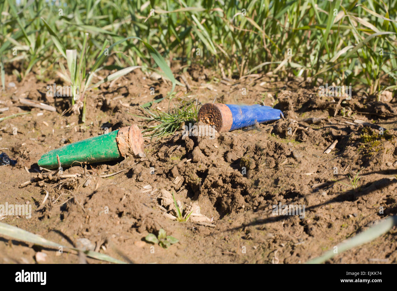 Rusty verbrachte Schrotflinte Patronen auf einer Wiese-Etage. Dies ist ein schlechtes Verhalten von vielen Jägern in Spanien Stockfoto