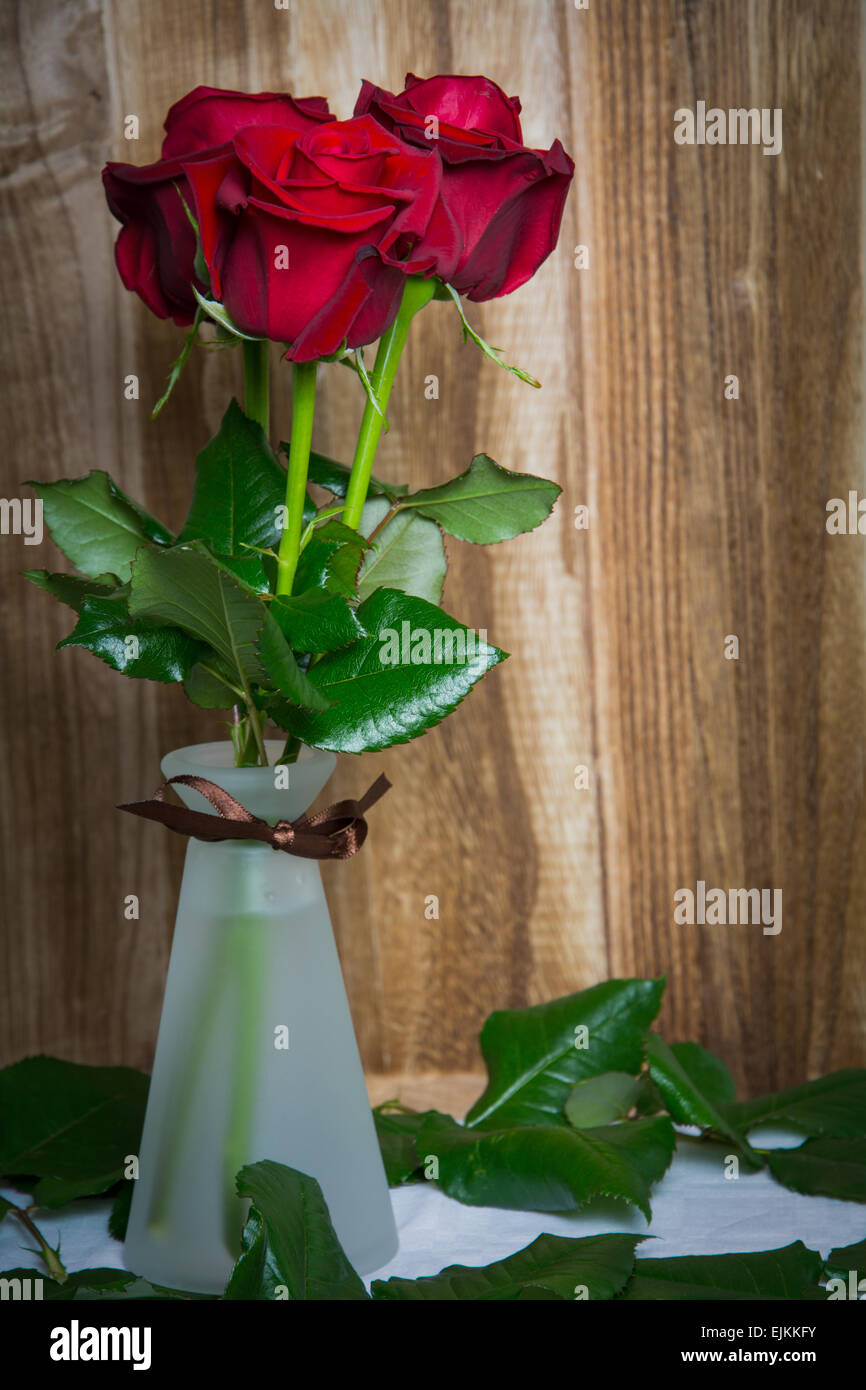 Rote Rosen auf leeren Hintergrund Stockfoto