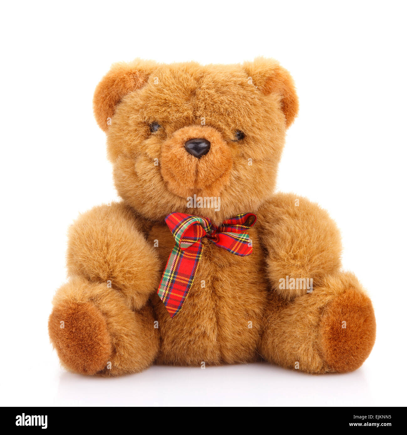 Spielzeug Teddybär Stockfoto