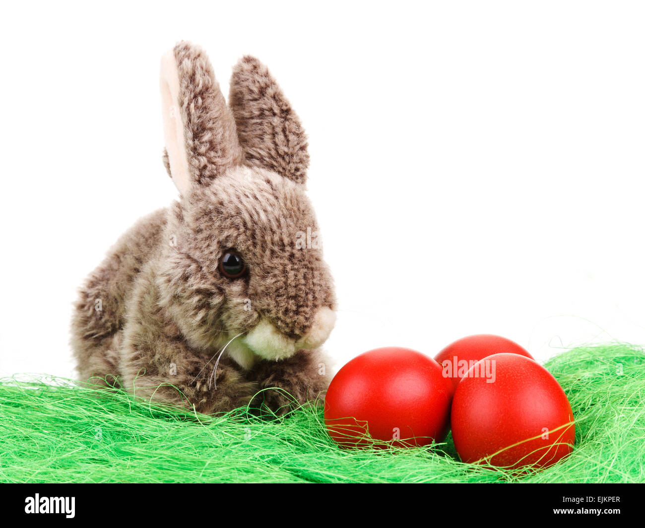 Osterhase Stockfoto