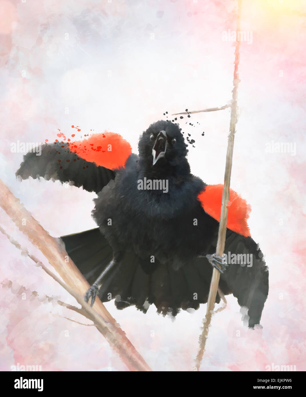 Digitale Malerei von Red Winged Blackbird Stockfoto