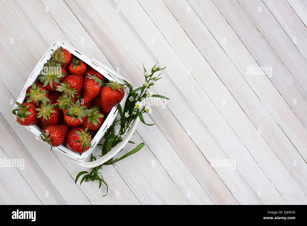 Draufsicht auf einen Korb mit frisch gepflückten Erdbeeren auf einem weißen rustikalen Holztisch. Ein Zweig der Blumen im Griff Stockfoto