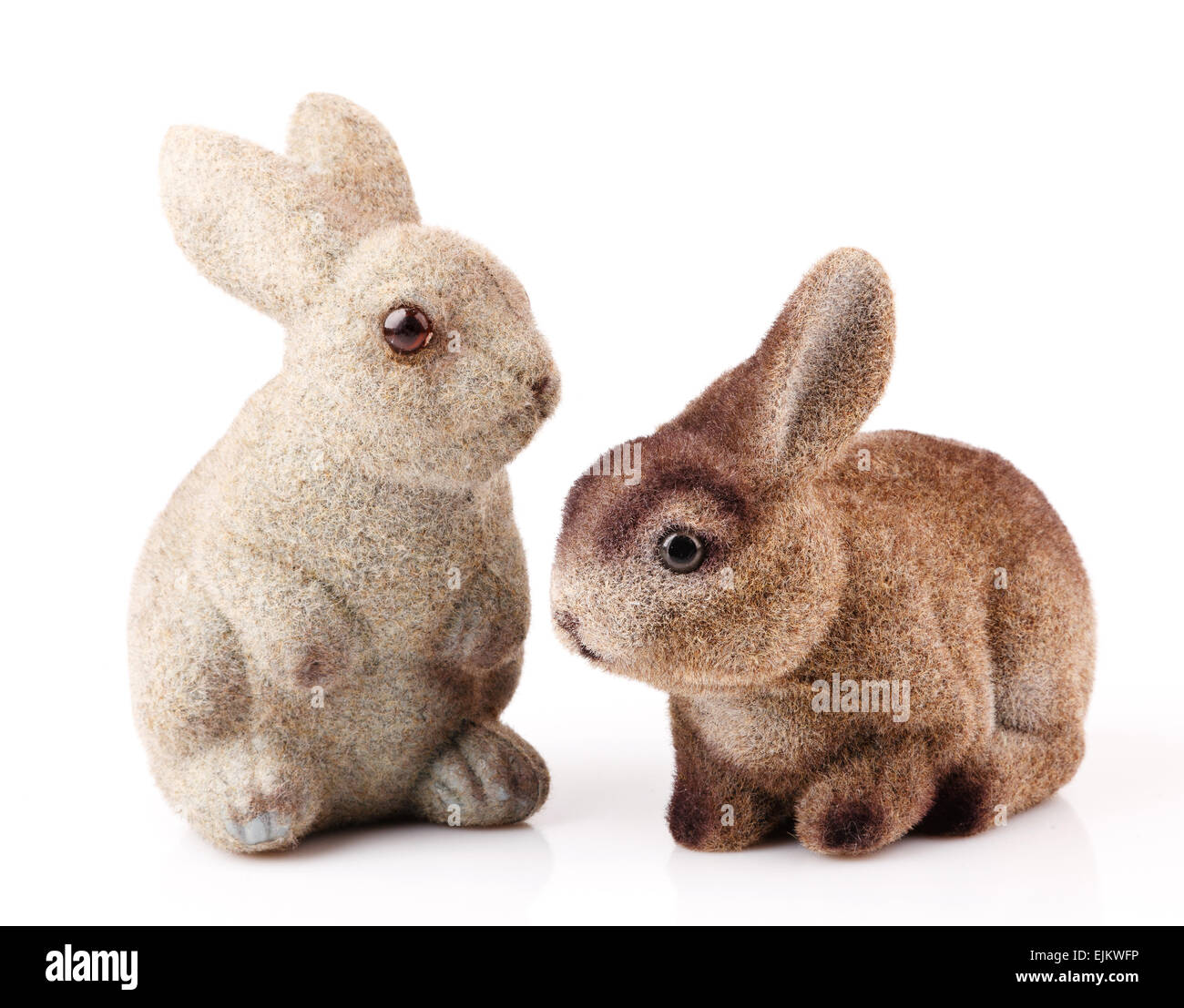 paar Osterhasen Stockfoto