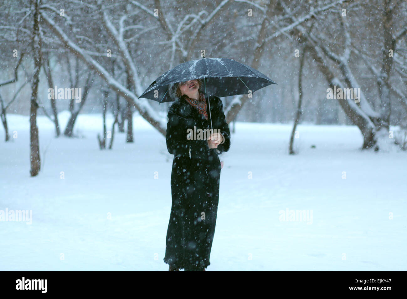 Frau, Park, Regenschirm, Wandern, Stimmung, Natur, Schnee, Frühling, winter Stockfoto