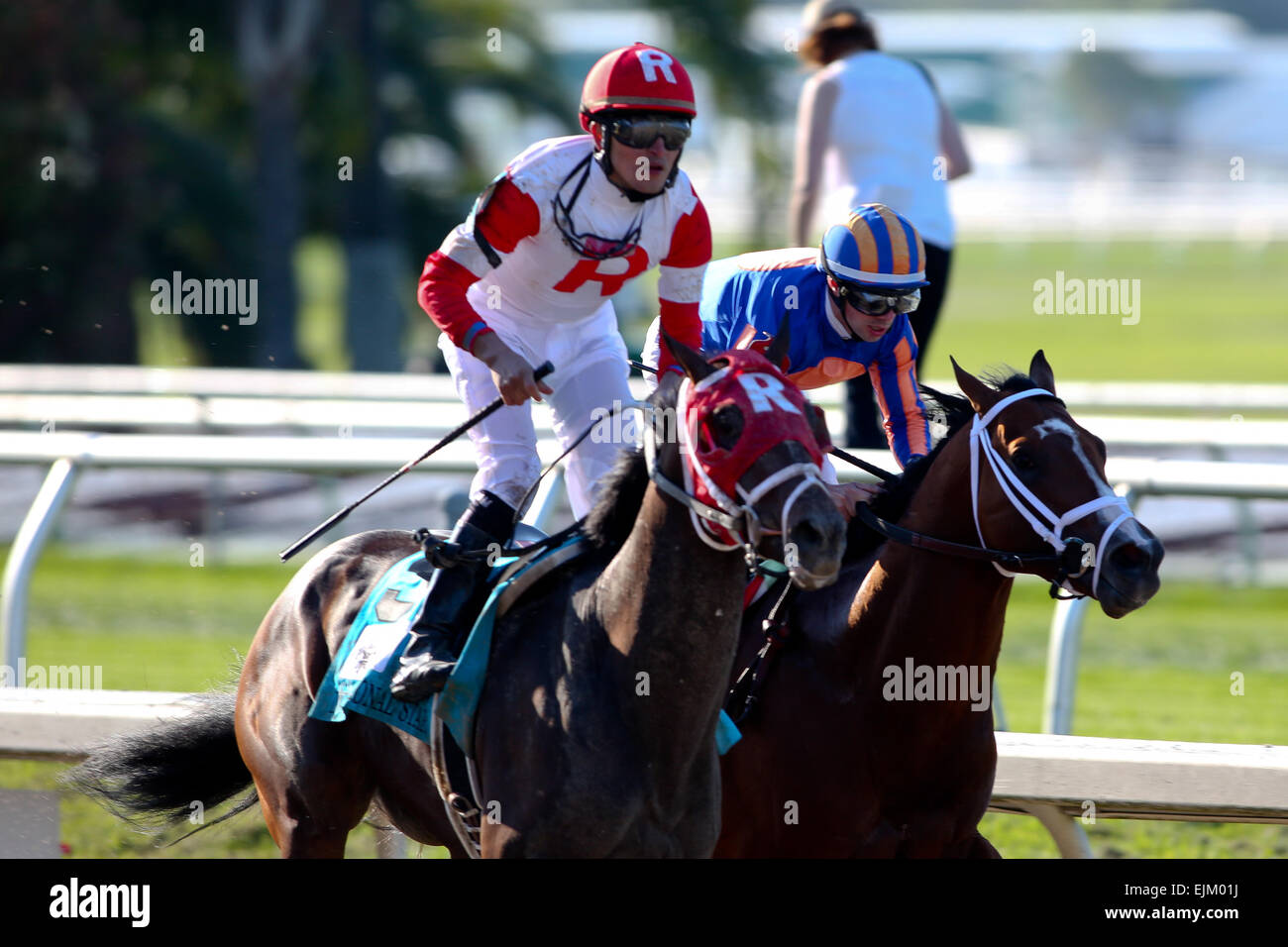 New Orleans, Louisiana, USA. 28. März 2015. 28. März 2015: International Star mit Miguel Mena Siege der Louisiana Derby Day auf dem New Orleans-Messegelände. Steve Dalmado, ESW, CSM, Alamy Live-Nachrichten Stockfoto