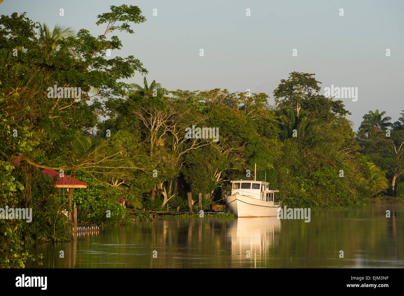 Der Saramacca River in der Morgendämmerung, Suriname Stockfoto