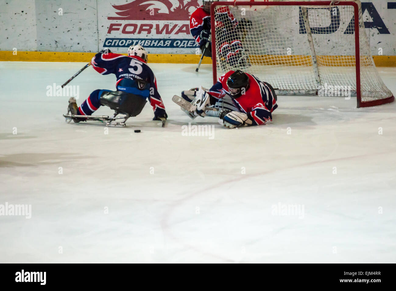 ORENBURG, Region ORENBURG, Russland - 7. Februar 2015: öffentliche Aufführung Orenburg Eis Sledge Hockey-Clubs "Falken" im Rahmen des Allrussischen Tages des Wintersports, dem Jahrestag der XXII Olympische Winterspiele und XI Paralympischen Winterspiele 2014 in Sotschi Stockfoto