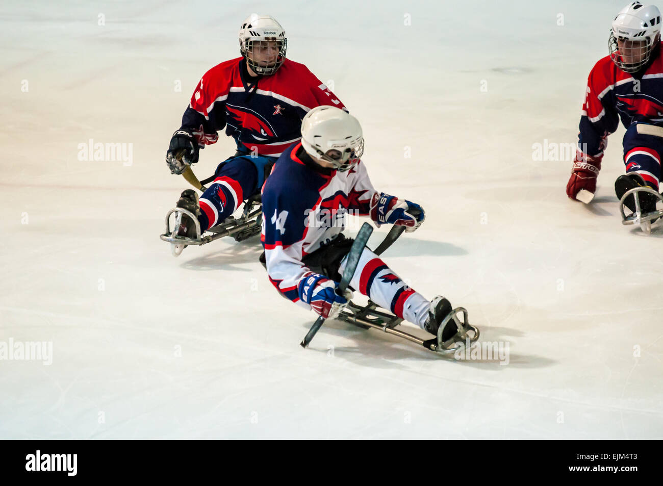 ORENBURG, Region ORENBURG, Russland - 7. Februar 2015: öffentliche Aufführung Orenburg Eis Sledge Hockey-Clubs "Falken" im Rahmen des Allrussischen Tages des Wintersports, dem Jahrestag der XXII Olympische Winterspiele und XI Paralympischen Winterspiele 2014 in Sotschi Stockfoto