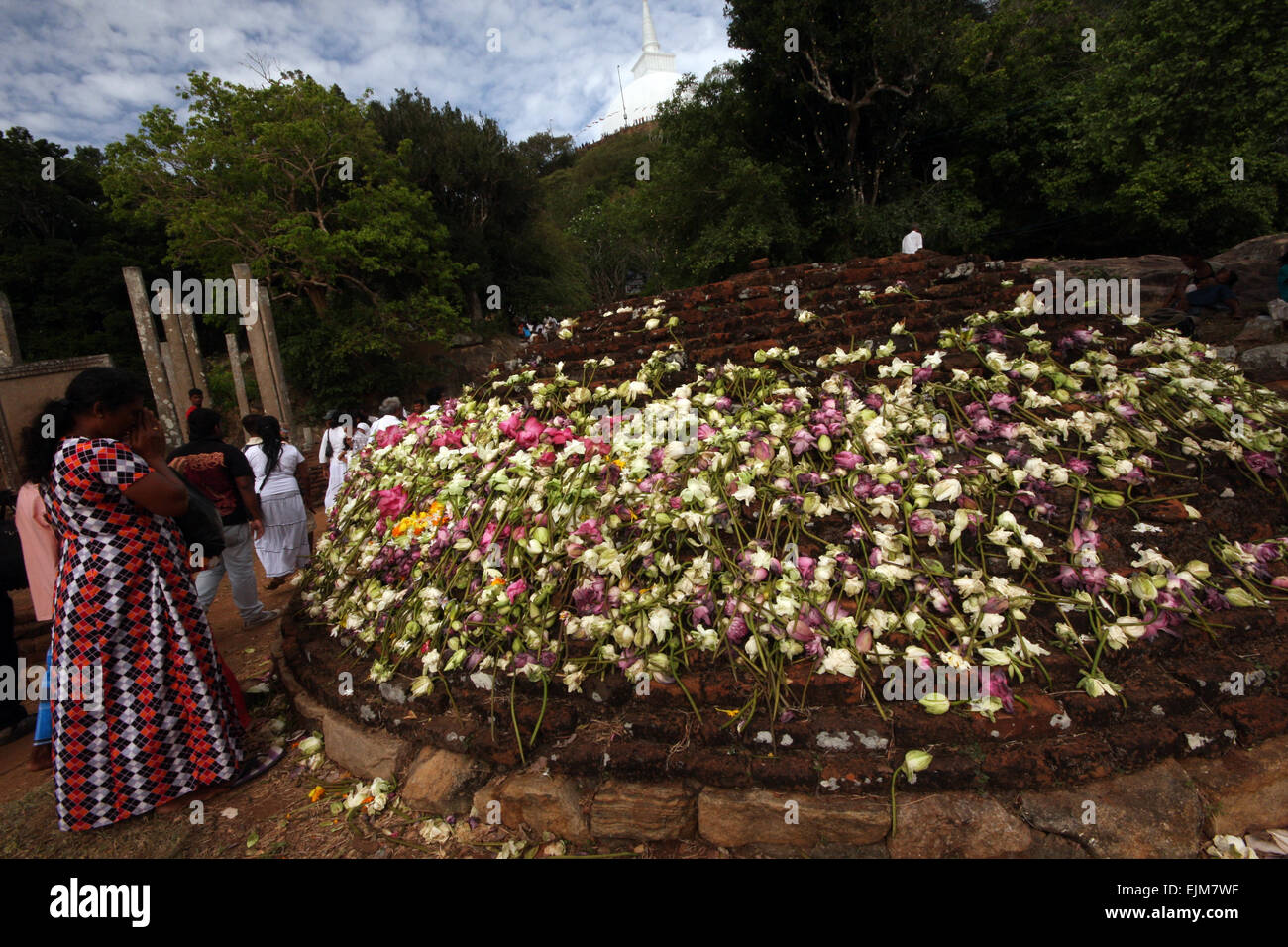 Betende Frau vor einem Backstein dagoba in Blumen bedeckt, mit dem großen weißen Ambasthale Daboga sichtbar hinter, Mihintale Hügel während Poson Poya Stockfoto