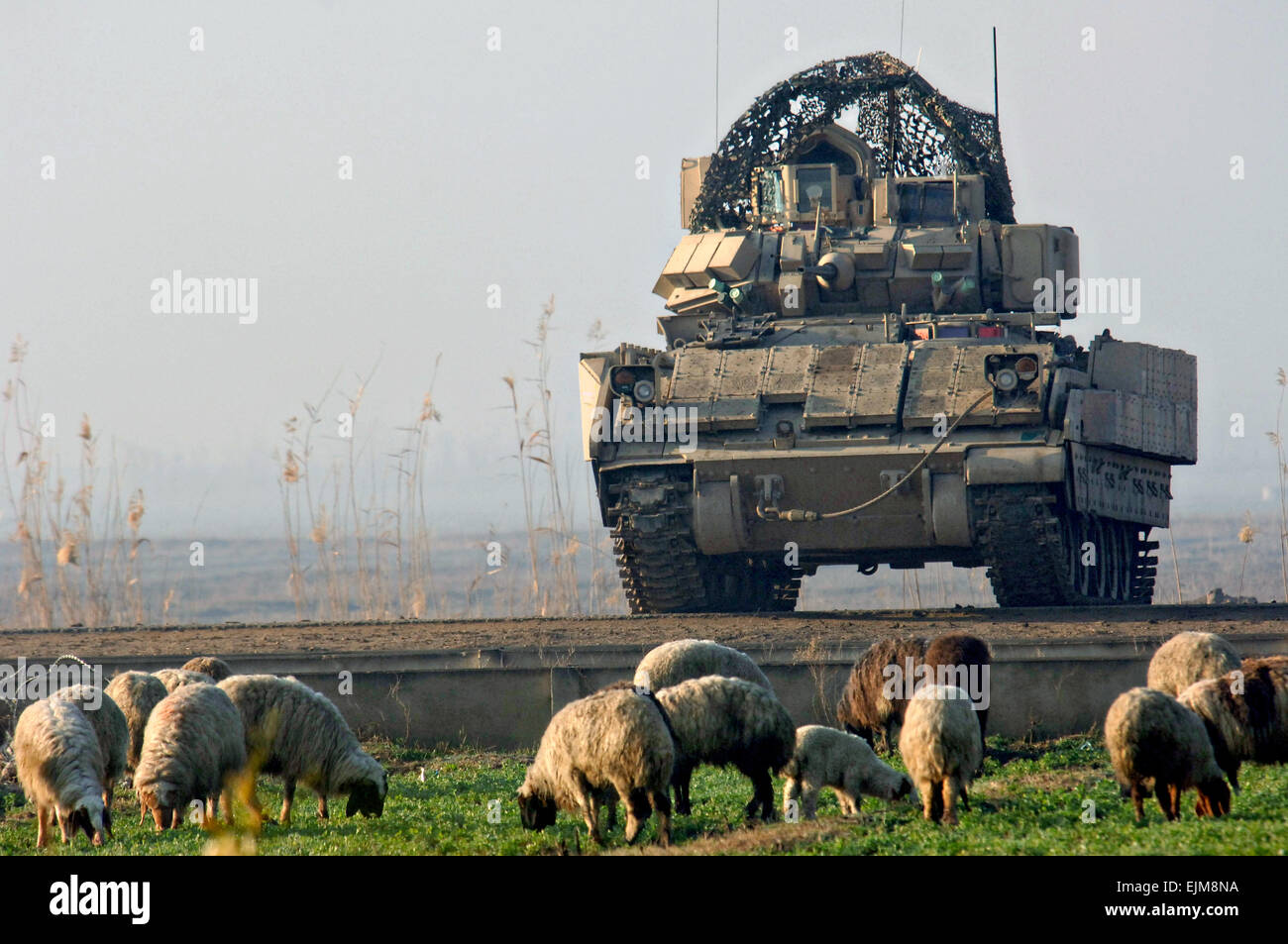 US-Armee Bradley Fighting Vehicle sorgt für Sicherheit während einer Kordon und Suche Operation 17. Februar 2007 in Bini Ziad Dorf, Irak. Stockfoto