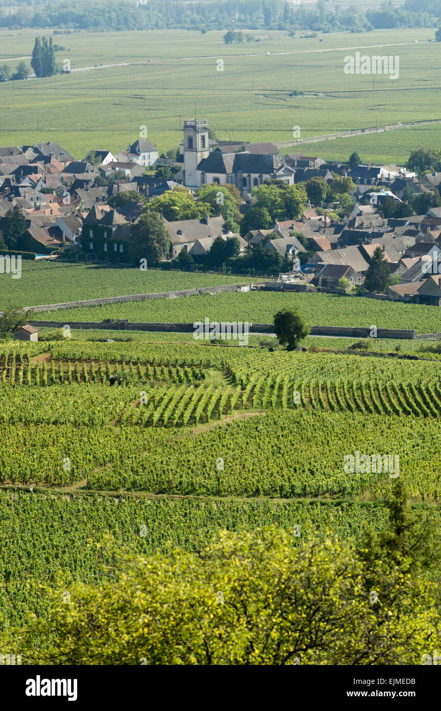 Weinberge rund um Pommard, in der Nähe von Beaune Stockfoto