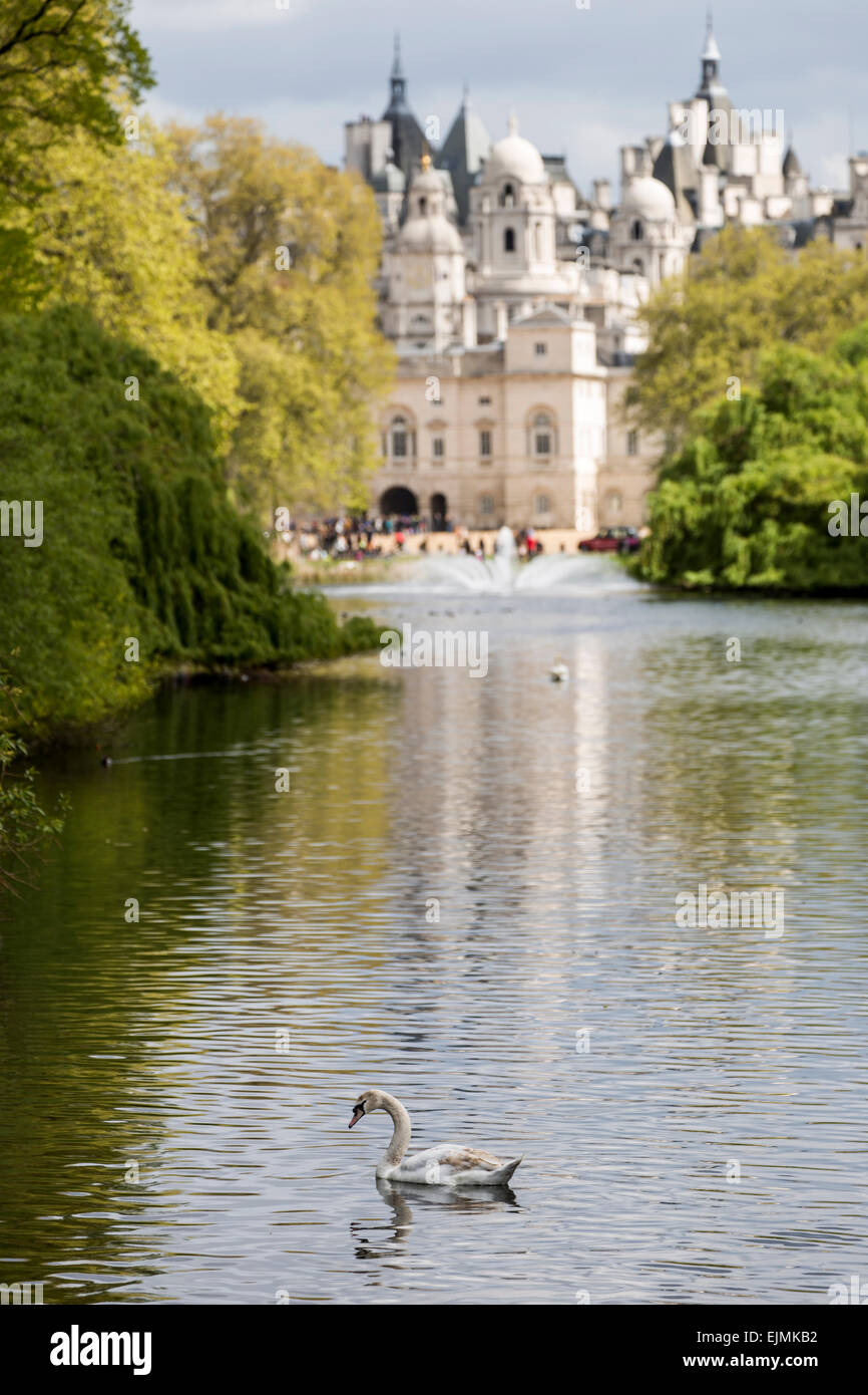 St. James Park See mit Schwänen, Whitehall, London Stockfoto