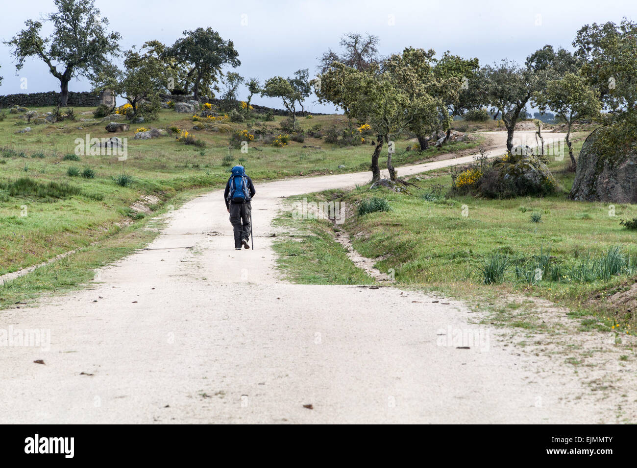 Pilger Wanderwege zu Fuß den Jakobsweg nach Santiago De Compostela, Reisen in ländliche Spanien entlang der Straßen zurück und Schmutz. Stockfoto