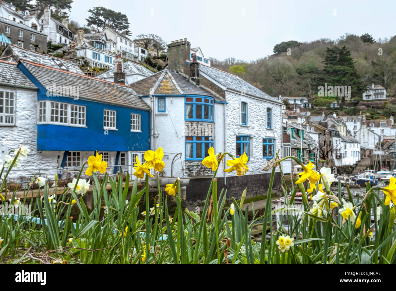 Cornwall, England, Vereinigtes Königreich: Frühling in Polperro, ein Dorf und Fischerhafen, umgeben von dicht gepackten alte Fischerhäuser. Stockfoto