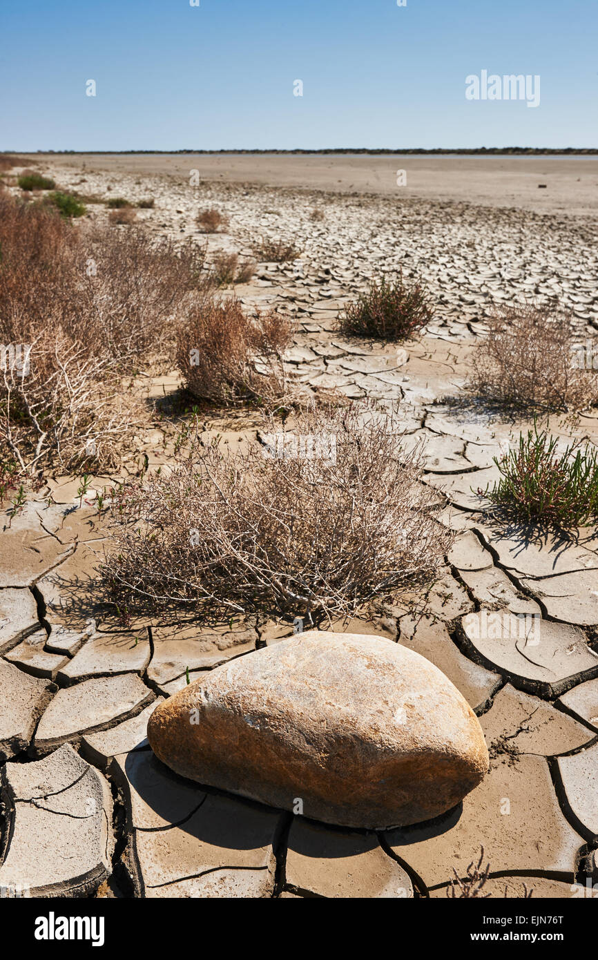 Wüstenlandschaft mit einem Stein in den Vordergrund und getrockneten Pflanzen Stockfoto