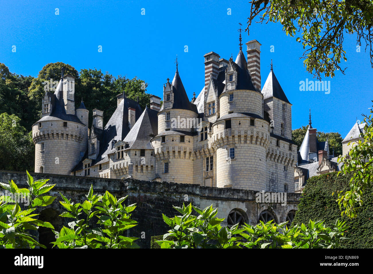 Schloss d'usse Indre-et-Loire Abteilung, Frankreich. Die Burg, die gesagt wurde, den Autor von Dornröschen inspiriert haben. Stockfoto