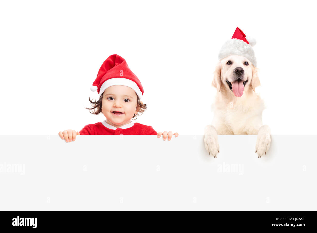 Babymädchen im Weihnachtsmann-Kostüm und ein Hund mit Weihnachtsmann Mütze posiert hinter einer leeren weißen Plakatwand Stockfoto