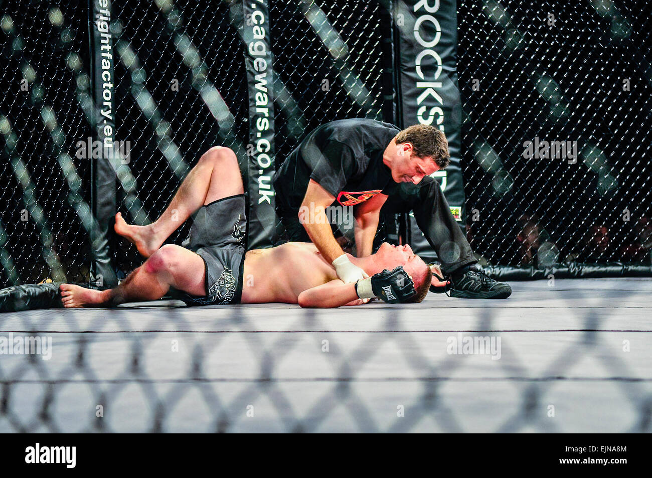Schiedsrichter kümmert sich um ein MMA-Käfig-Kämpfer, der ausgeschlagen worden Stockfoto