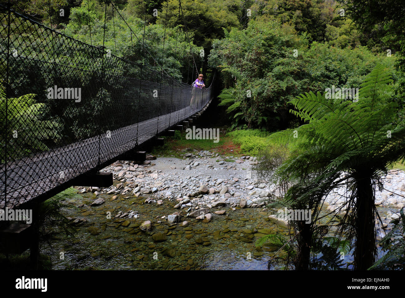 Wanderer auf Fussgängerbrücke bei Monro beach Trail durch subtropischen Regenwald Neuseeland Stockfoto