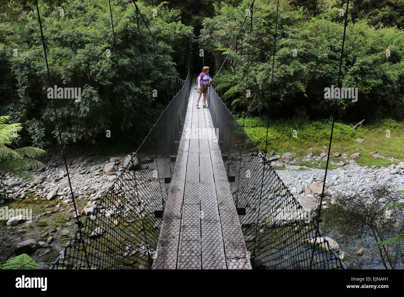 Wanderer auf Fussgängerbrücke bei Monro beach Trail durch subtropischen Regenwald Neuseeland Stockfoto