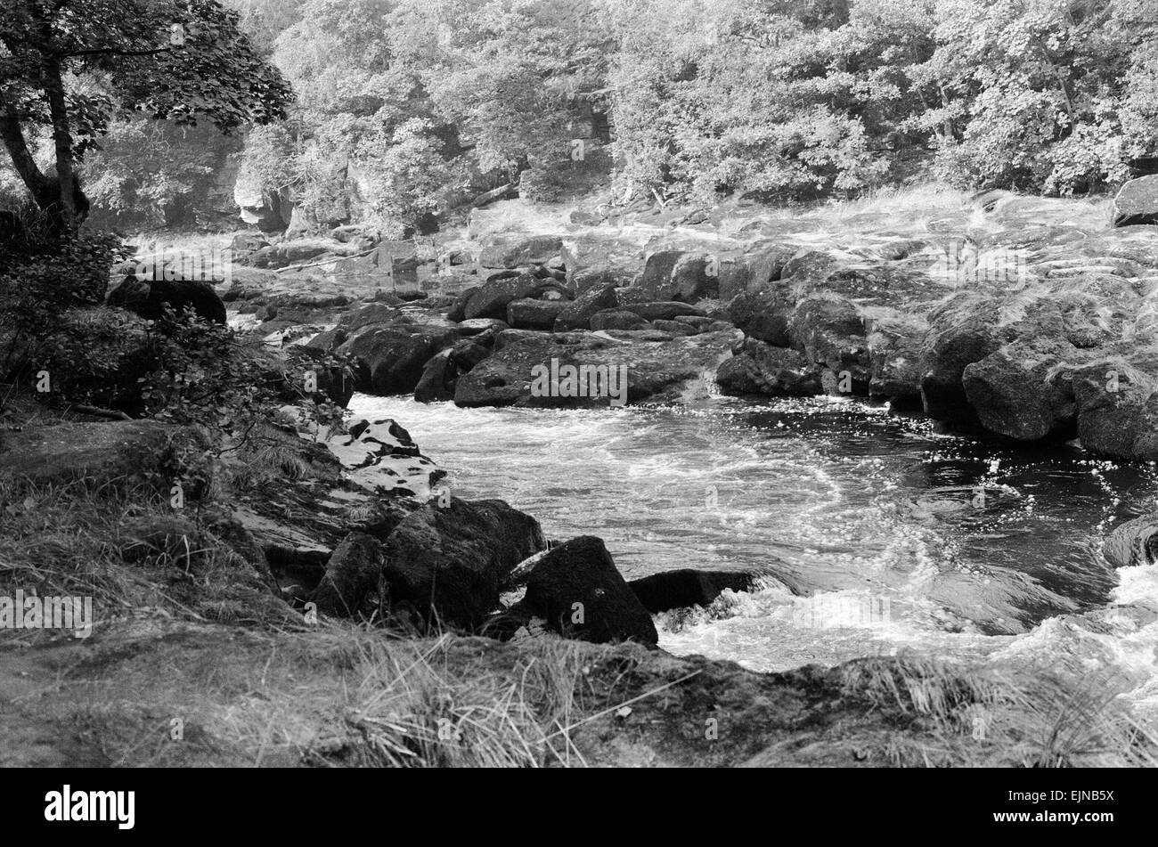 Die Strid in Bolton Abbey-Immobilien in Wharfedale in North Yorkshire, ca. 1970. Stockfoto