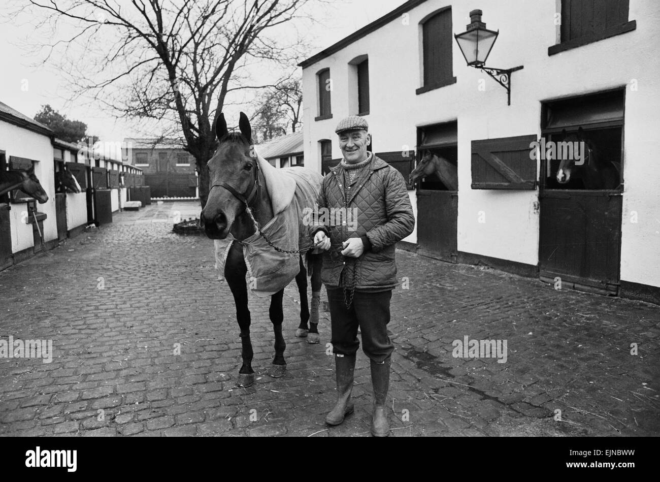 Donald "Ginger" McCain, der Trainer der dreimal Grand National Gewinner Red Rum, im Bild mit der berühmten Rennpferd im Stall in Birkdale, Southport in Merseyside. 13. Januar 1978. Stockfoto