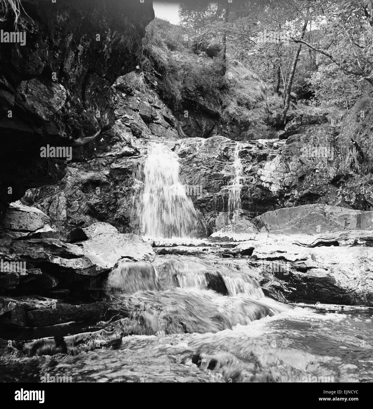 Ansicht eines Brandes, der seinen Weg nach unten in den Fluss Dee in der Nähe von Braemar, Schottland. Ca. 1952. Stockfoto