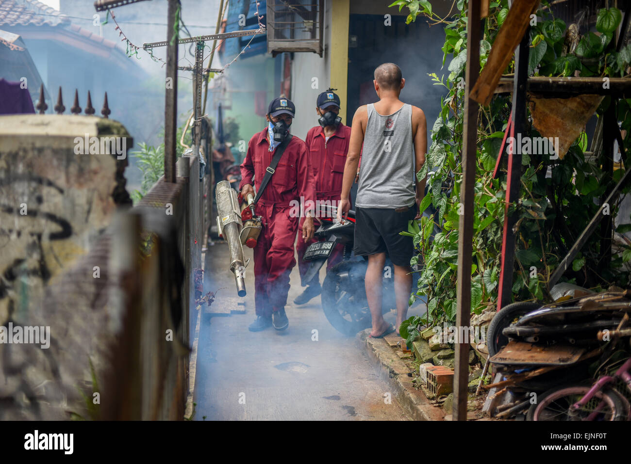 In einem dicht besiedelten Viertel in West-Jakarta wird das Mückenvernebeln abgehalten, während der Kampf gegen das Dengue-Fieber anhält. Stockfoto