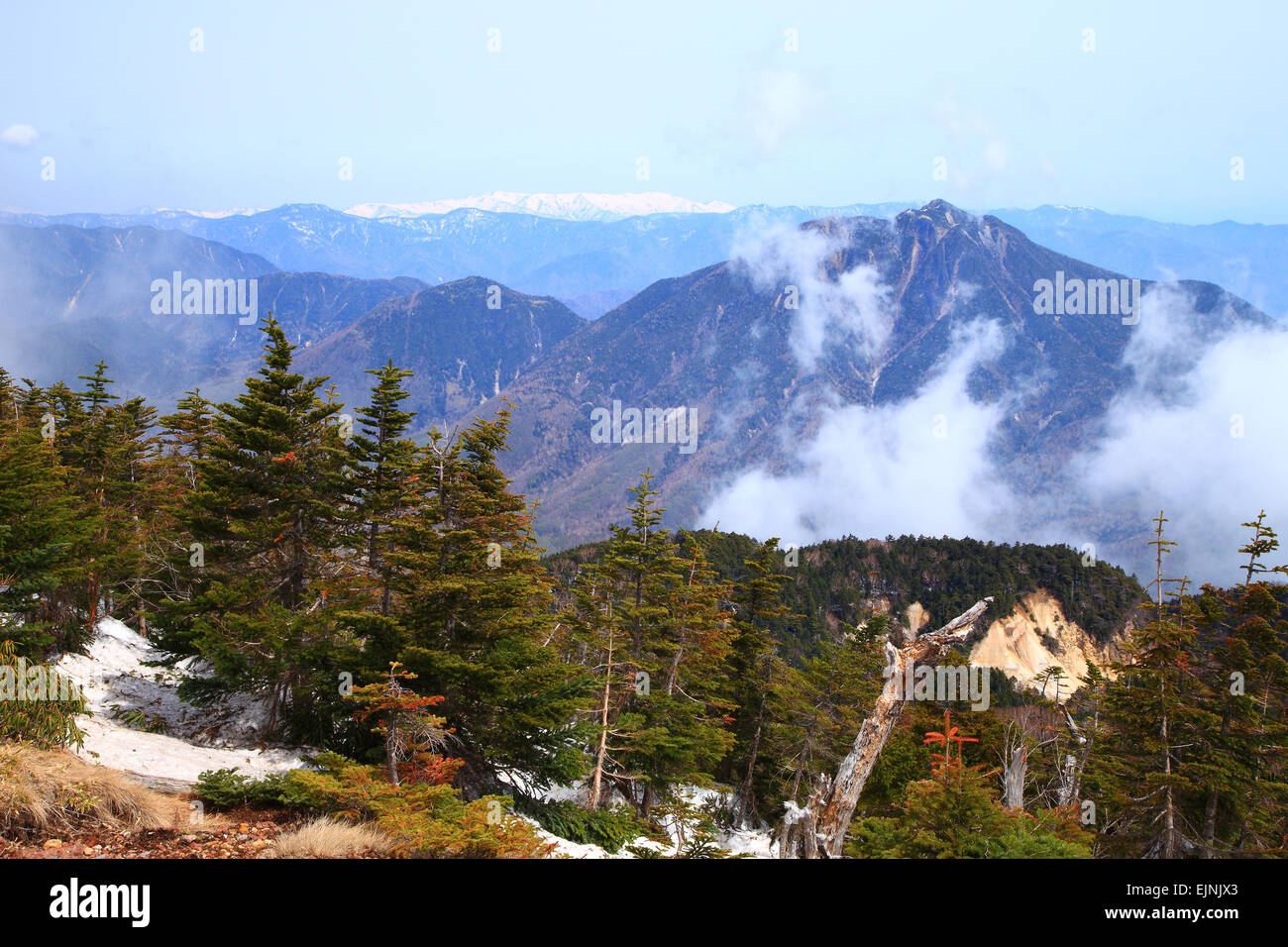 Präfektur Tochigi, Japan Stockfoto