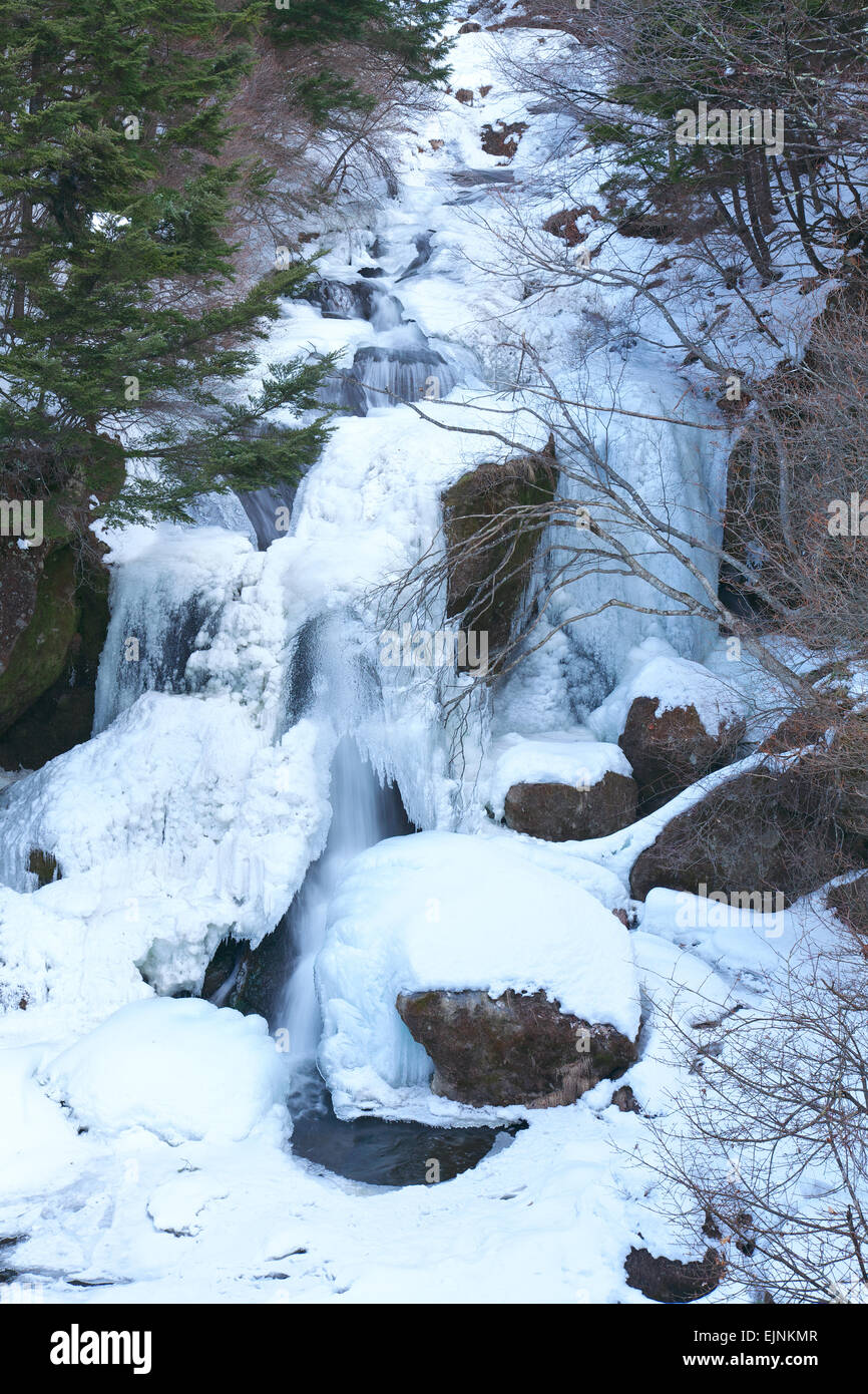 Präfektur Tochigi, Japan Stockfoto