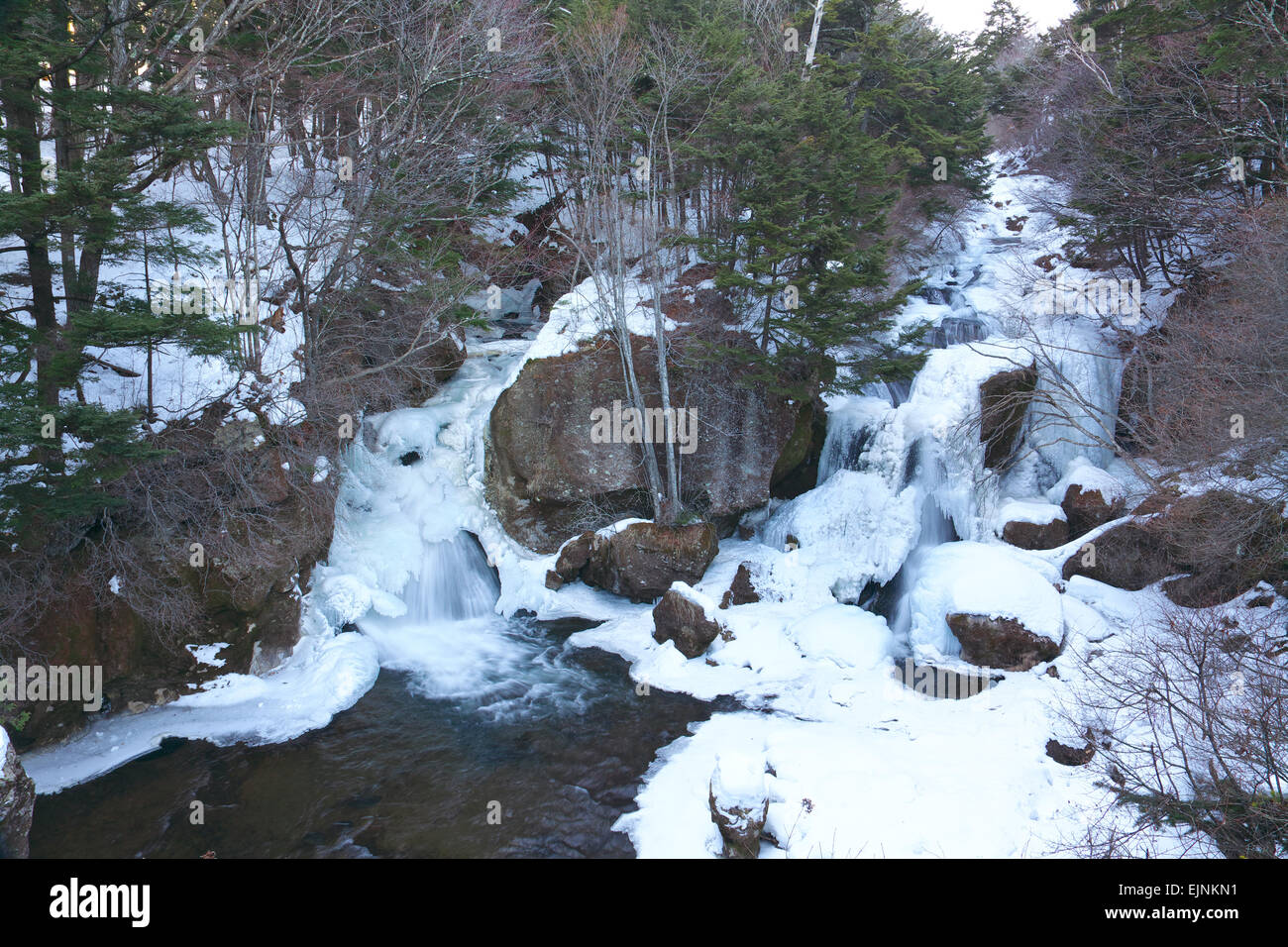 Präfektur Tochigi, Japan Stockfoto