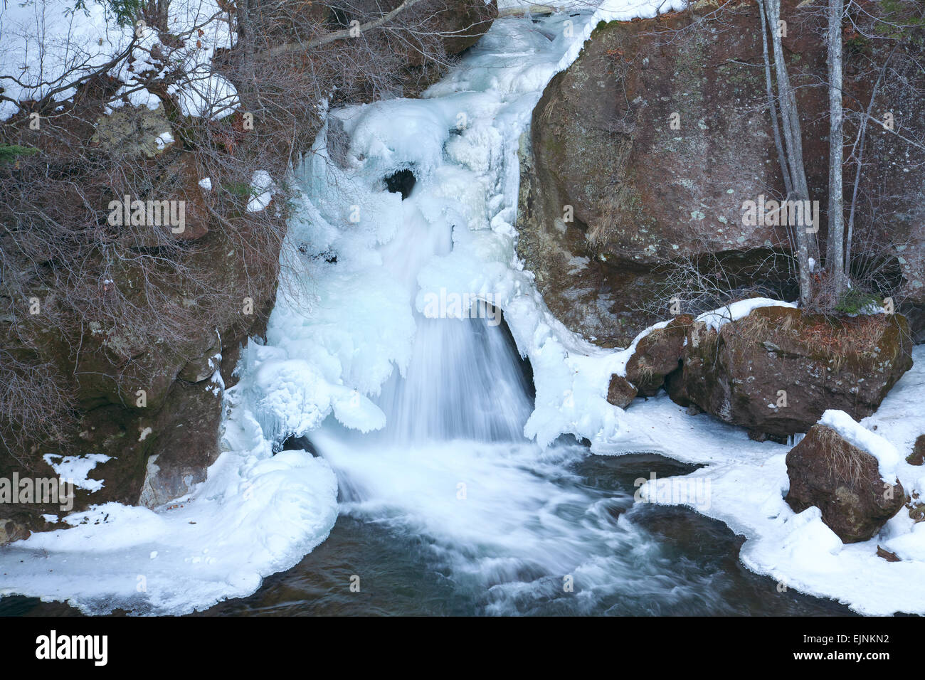 Präfektur Tochigi, Japan Stockfoto