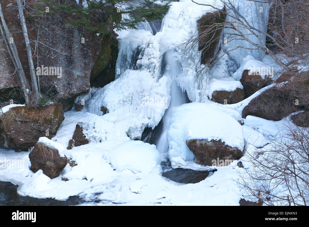 Präfektur Tochigi, Japan Stockfoto
