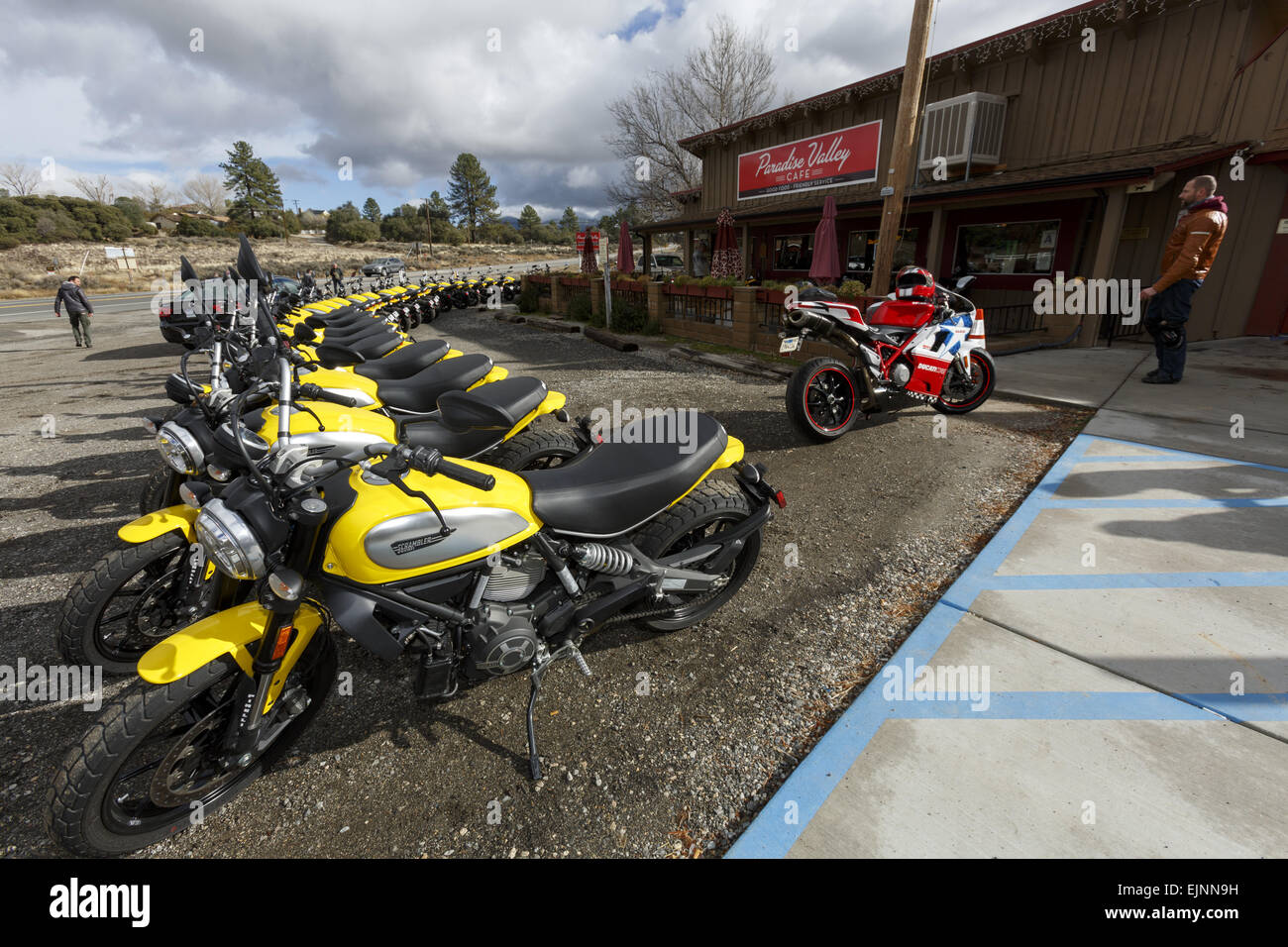 Linie von 2015 Ducati Scrambler bei der Vorstellung der USA in Kalifornien außerhalb Paradise Valley Cafe Stockfoto